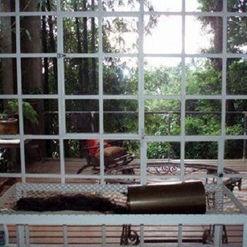 B&B Vitoria Regia Rio de Janeiro Zewnętrze zdjęcie